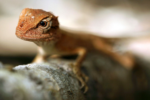 Galerie WWG.CZ - Foto: © Roman Pihan Galerie WWG.CZ - Foto: © Roman Pihan