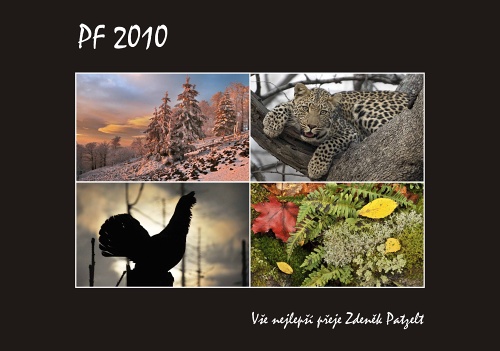 PF2010  Foto: © Zdeněk Patzelt