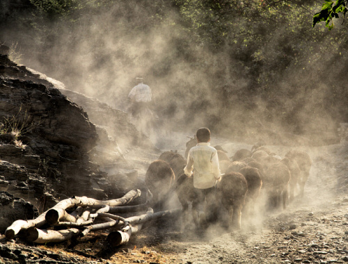 Foto: © Pavel Lisý, Skalní umění a život kočovníků Střední Asie