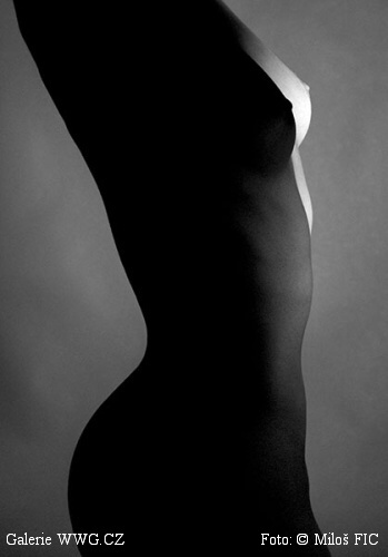 Galerie WWG.CZ - Foto: © Miloš Fic Galerie WWG.CZ - Foto: © Miloš Fic