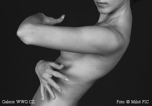 Galerie WWG.CZ - Foto: &copy; Miloš Fic