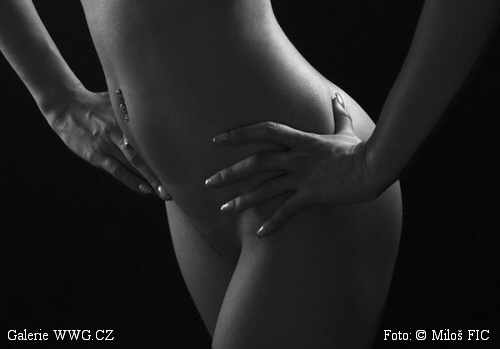 Galerie WWG.CZ - Foto: © Miloš Fic Galerie WWG.CZ - Foto: © Miloš Fic