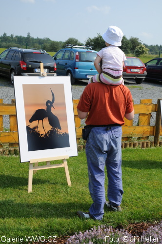 2. ročník Poháru Galerie WWG.CZ - 26. června 2010 - Adventure Golf Horní Bezděkov 2. ročník Poháru Galerie WWG.CZ - 26. června 2010 - Adventure Golf Horní Bezděkov