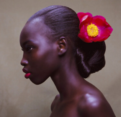 FotoVideo 2011 únor FotoVideo 2011 únor