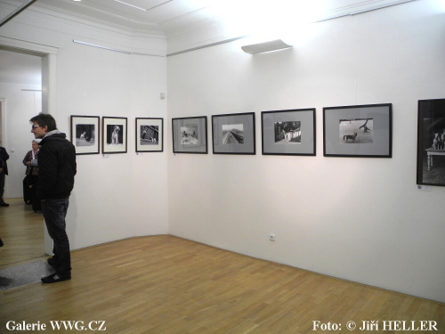 Czech Pes Photo 2011 - Galerie DESET Czech Pes Photo 2011 - Galerie DESET