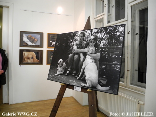 Czech Pes Photo 2011 - Galerie DESET Czech Pes Photo 2011 - Galerie DESET