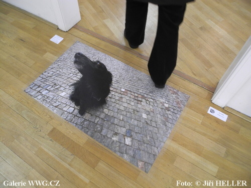 Czech Pes Photo 2011 - Galerie DESET Czech Pes Photo 2011 - Galerie DESET