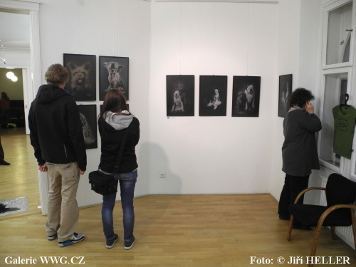 Czech Pes Photo 2011 - Galerie DESET Czech Pes Photo 2011 - Galerie DESET