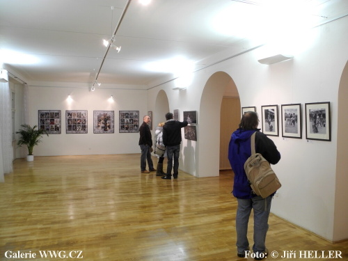 Czech Pes Photo 2011 - Galerie DESET Czech Pes Photo 2011 - Galerie DESET