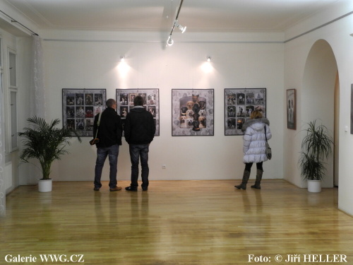 Czech Pes Photo 2011 - Galerie DESET