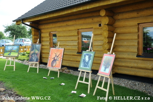 Pohár Galerie WWG.CZ 2011 Pohár Galerie WWG.CZ 2011