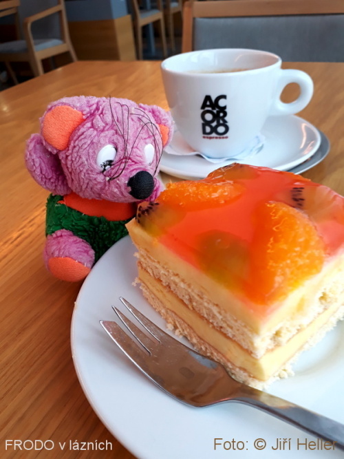 FRODO v Lázních Třeboň FRODO v Lázních Třeboň