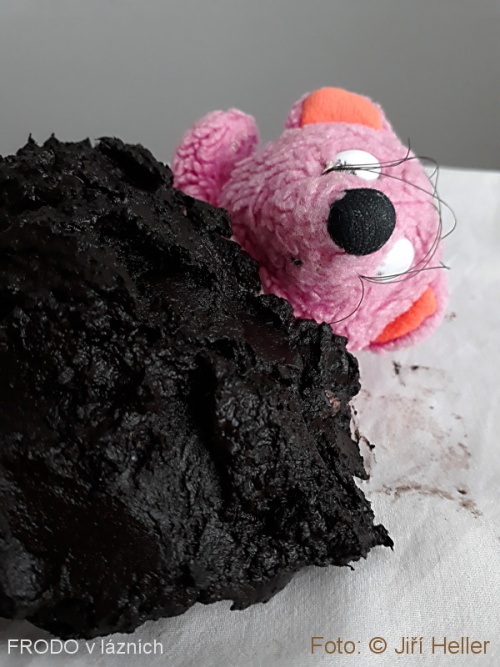 FRODO v Lázních Třeboň FRODO v Lázních Třeboň