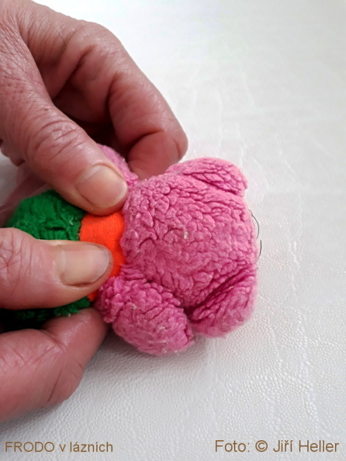 FRODO v Lázních Třeboň FRODO v Lázních Třeboň