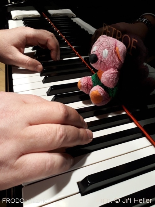 FRODO v Lázních Třeboň FRODO v Lázních Třeboň