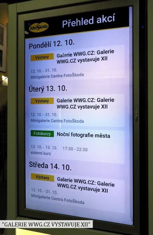 Galerie WWG.CZ vystavuje XII Galerie WWG.CZ vystavuje XII