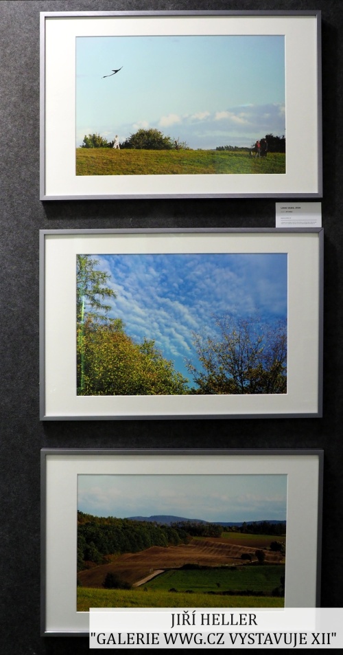 Galerie WWG.CZ XII - Jiří Heller Galerie WWG.CZ XII - Jiří Heller