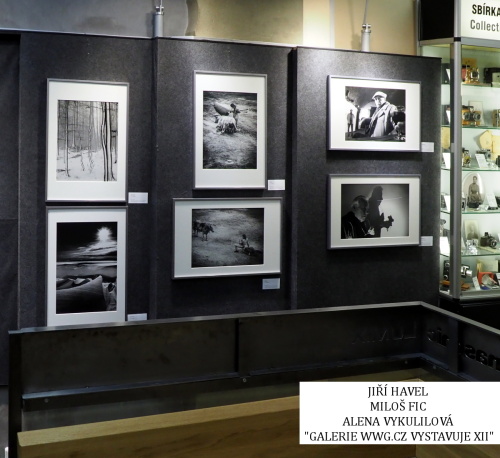 Galerie WWG.CZ XII Galerie WWG.CZ XII