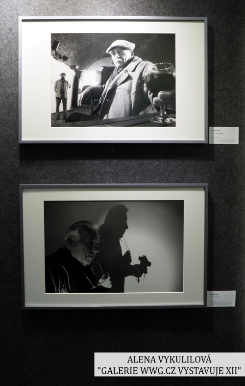 Galerie WWG.CZ XII - Alena Vykulilová Galerie WWG.CZ XII - Alena Vykulilová