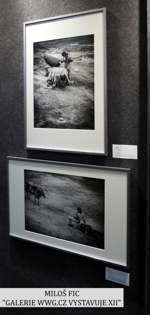 Galerie WWG.CZ XII - Miloš Fic Galerie WWG.CZ XII - Miloš Fic