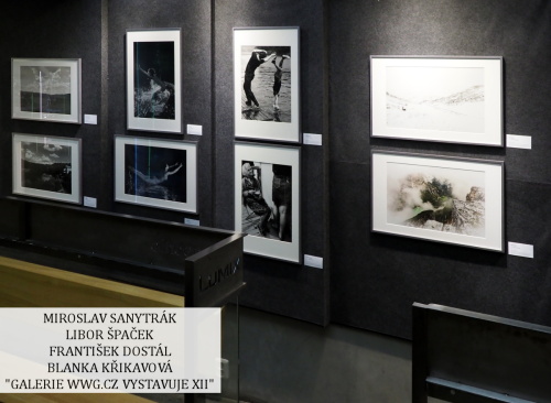 Galerie WWG.CZ XII - Jiří Havel Galerie WWG.CZ XII