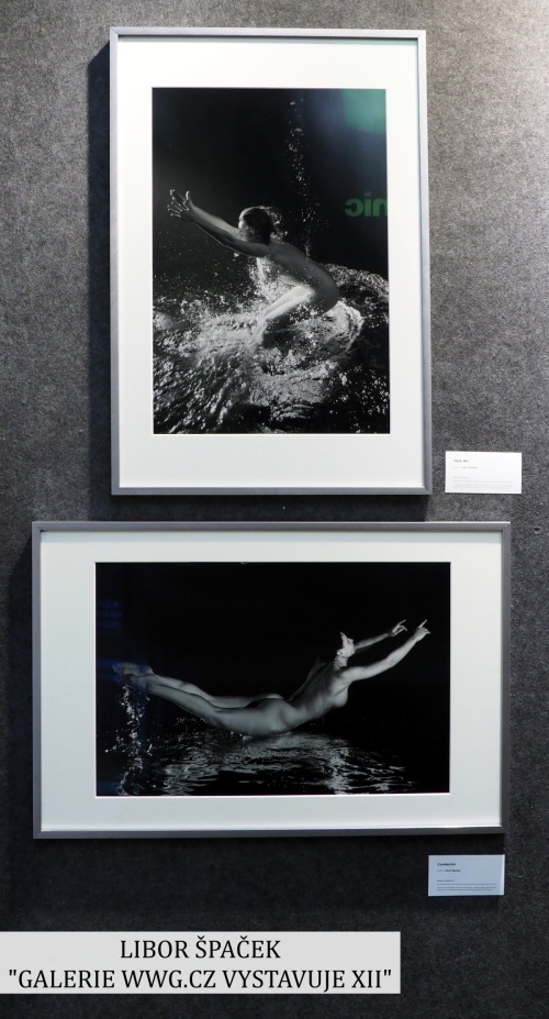 Galerie WWG.CZ XII - Libor Špaček Galerie WWG.CZ XII - Libor Špaček