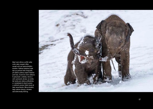 ZTICHLÁ ZOO  Miroslav Bobek a Petr Hamerník, ZOO Praha ZTICHLÁ ZOO  Miroslav Bobek a Petr Hamerník, ZOO Praha