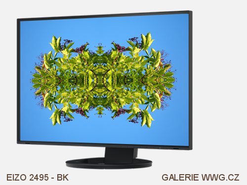 EIZO - Léto v akci - do 31. 8. 2021 - EIZO EV2495 - BK