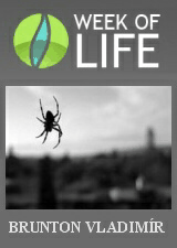 WEEK OF LIFE WEEK OF LIFE