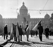Foto: © Vladimír Lammer
