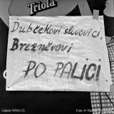 Foto: © Vladimír Lammer