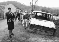 Foto: © Antonín Bína - Szikovice, 1999