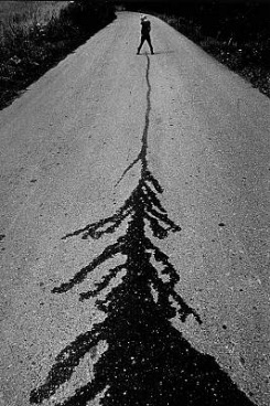 Foto: &copy; Oleg Homola