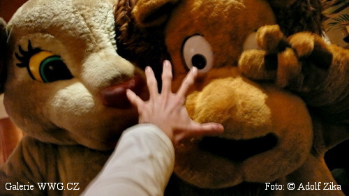 Galerie WWG.CZ - One year of my life - Foto: &copy; Adolf Zika