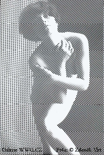 Galerie WWG.CZ - Foto: © Zdeněk Virt Galerie WWG.CZ - Foto: © Zdeněk Virt