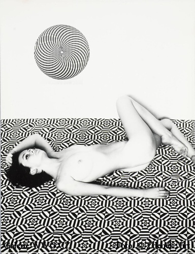 Galerie WWG.CZ - Foto: © Zdeněk Virt Galerie WWG.CZ - Foto: © Zdeněk Virt