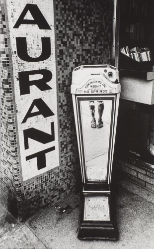 Foto: &copy; Helena Wilsonová