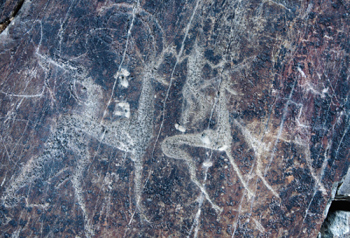 Foto: &copy; Pavel Lisý, Skalní umění a život kočovníků Střední Asie