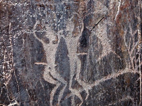 Foto: &copy; Pavel Lisý, Skalní umění a život kočovníků Střední Asie