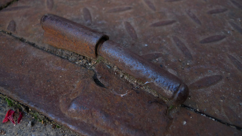 Škola vidění - škola fotografie - foto: &copy; Míša Rašková