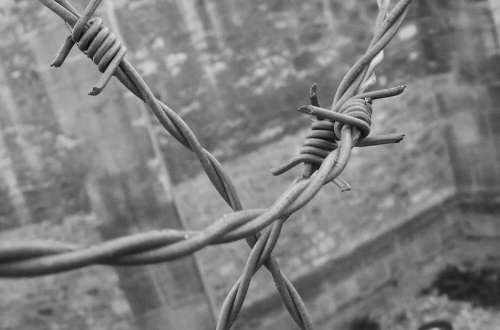 Škola vidění - škola fotografie - foto: &copy; Thea Bognárová