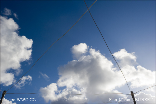 Foto: © Jan Neubert Foto: © Jan Neubert