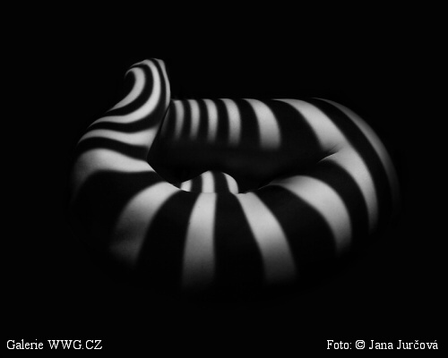 Foto: &copy; Jana Jurčová - www.malujuamiluju.cz