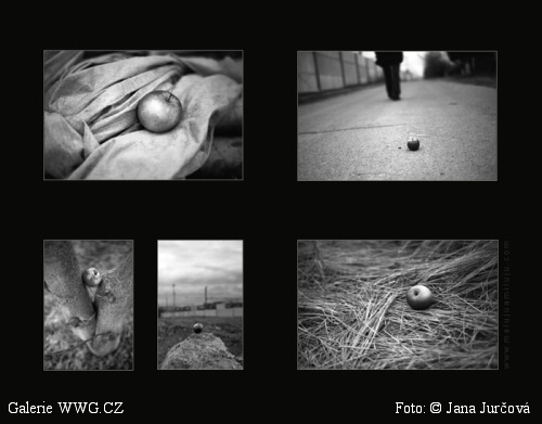 Foto: &copy; Jana Jurčová - www.malujuamiluju.cz