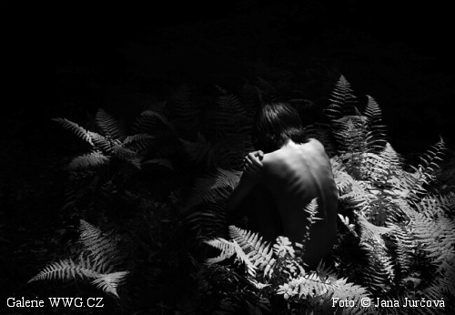 Foto: &copy; Jana Jurčová - www.malujuamiluju.cz