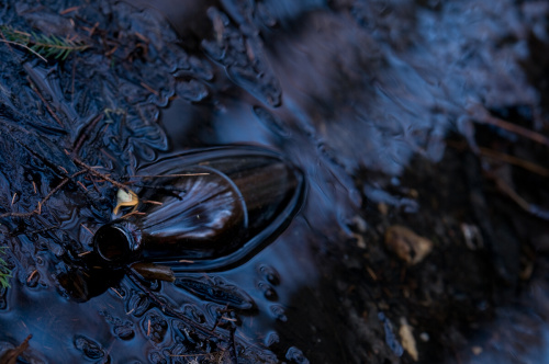 Foto: &copy; Michaela Dandová