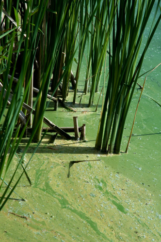 Foto: &copy; Michaela Dandová