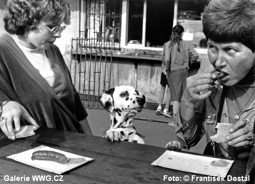 Galerie WWG.CZ vystavuje - III - František Dostál