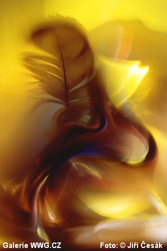 Galerie WWG.CZ vystavuje - III - Jiří Česák