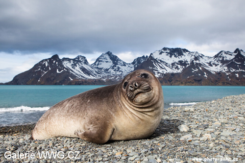 Foto: © Václav Šilha - African Way Foto: © Václav Šilha - African Way